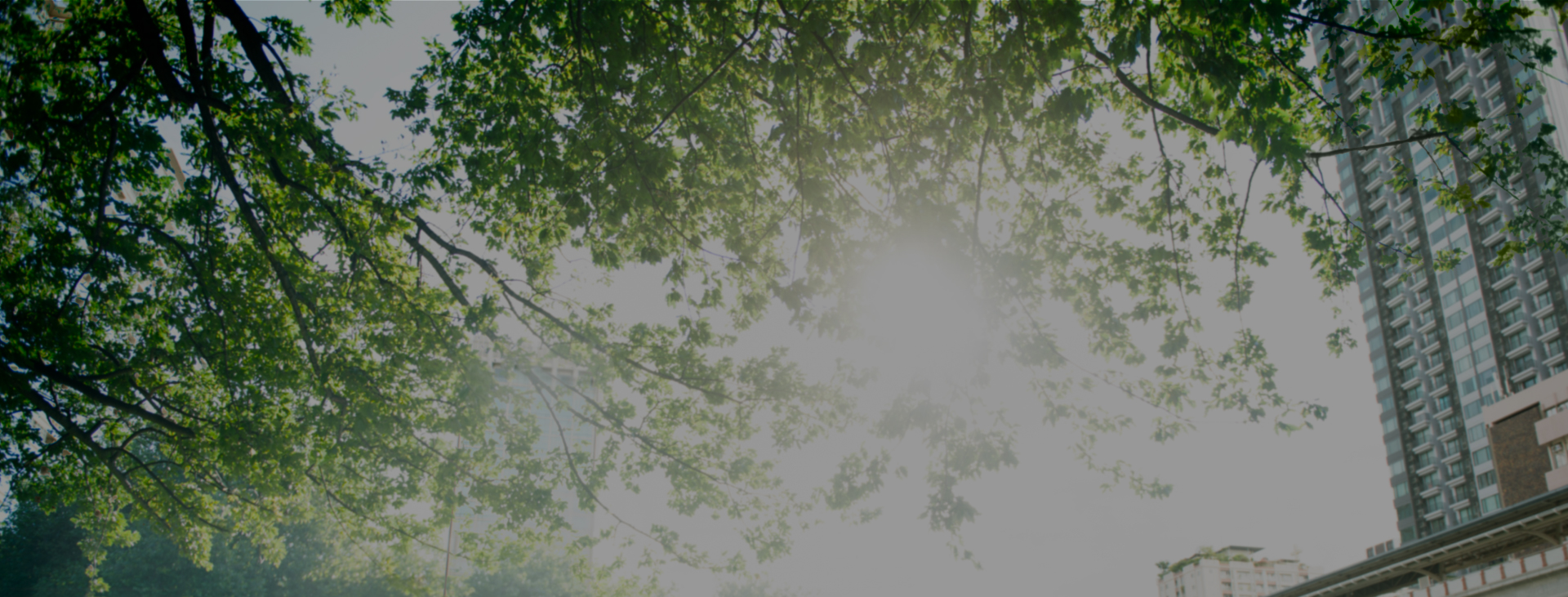 Virasoro Corrientes Naturaleza